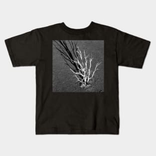 The White Tree, Benalla : aerial photograph Kids T-Shirt